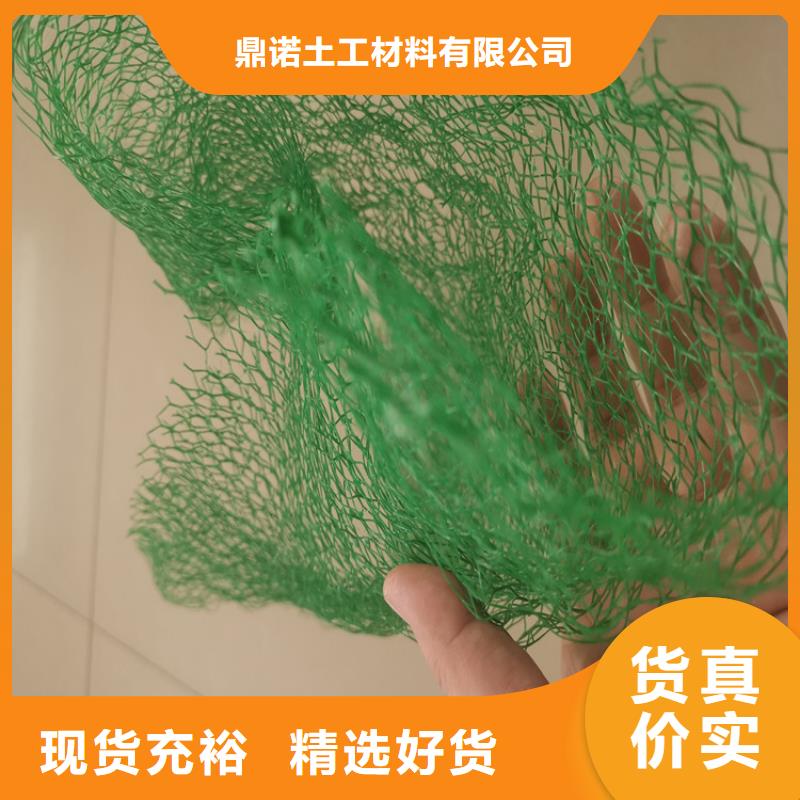 【三维植被网】,软式透水管专业生产品质保证