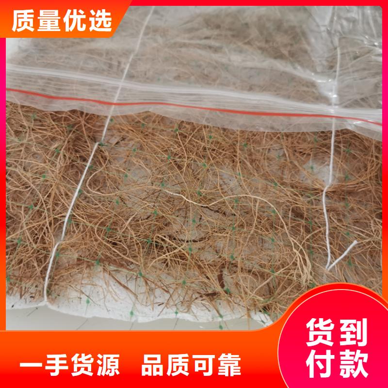 椰丝毯土工膜讲信誉保质量