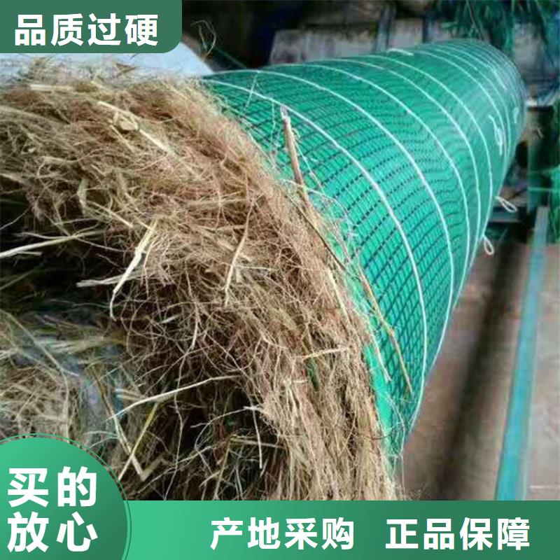 椰丝毯生态带厂家规格全