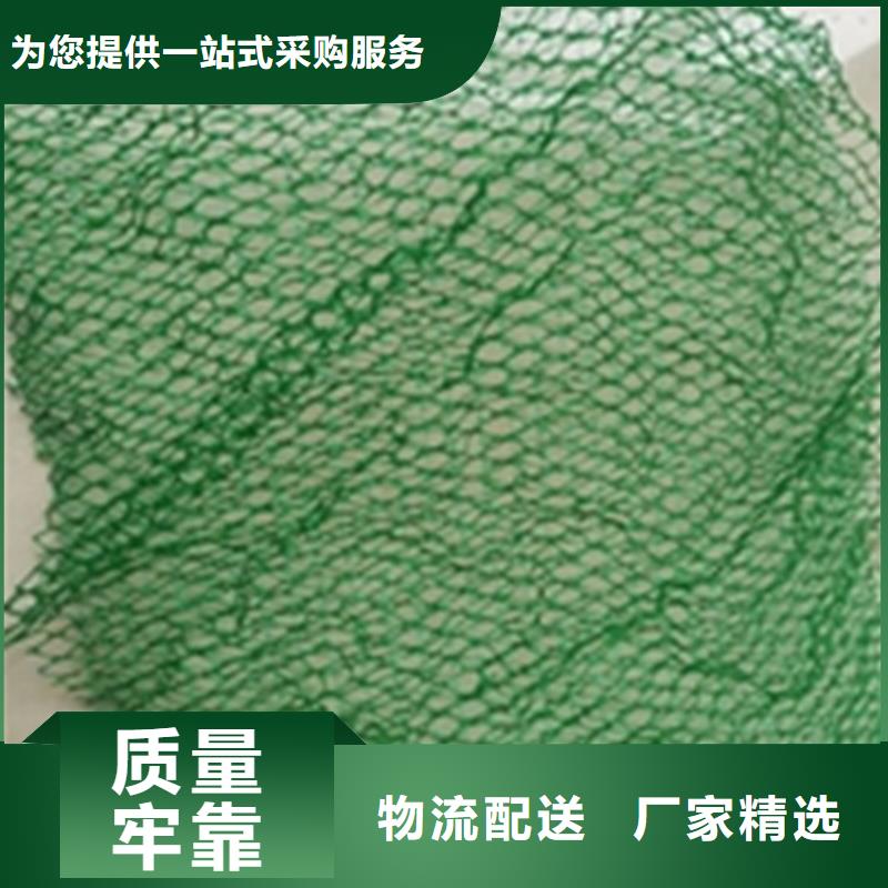 【三维植被网】80KN玻纤格栅N年大品牌