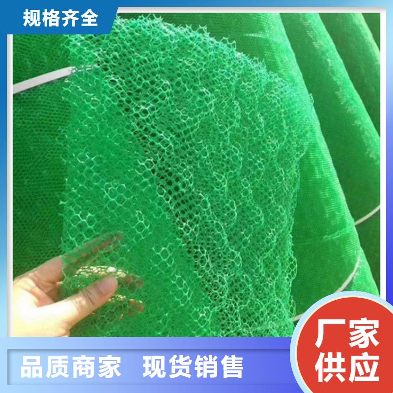 三维植被网【双向土工格栅】源头工厂