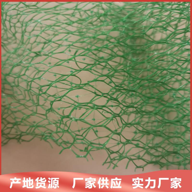 三维植被网,防水板货源直销