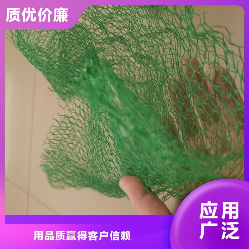 三维植被网土工膜海量现货直销