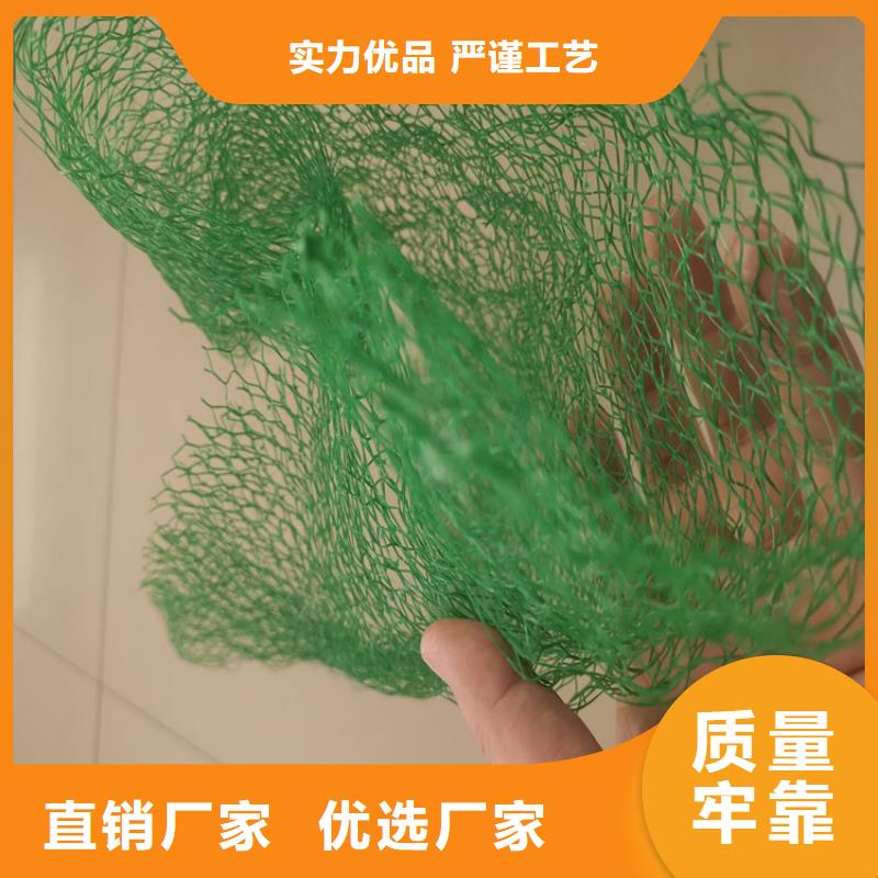 三维植被网双向土工格栅大厂家实力看得见