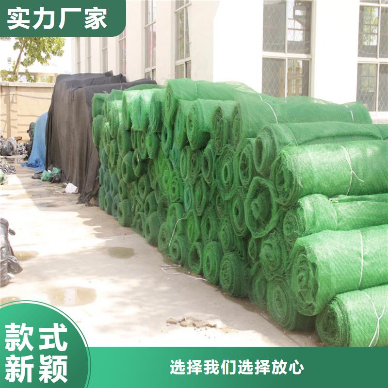 三维植被网【双向土工格栅】源头工厂