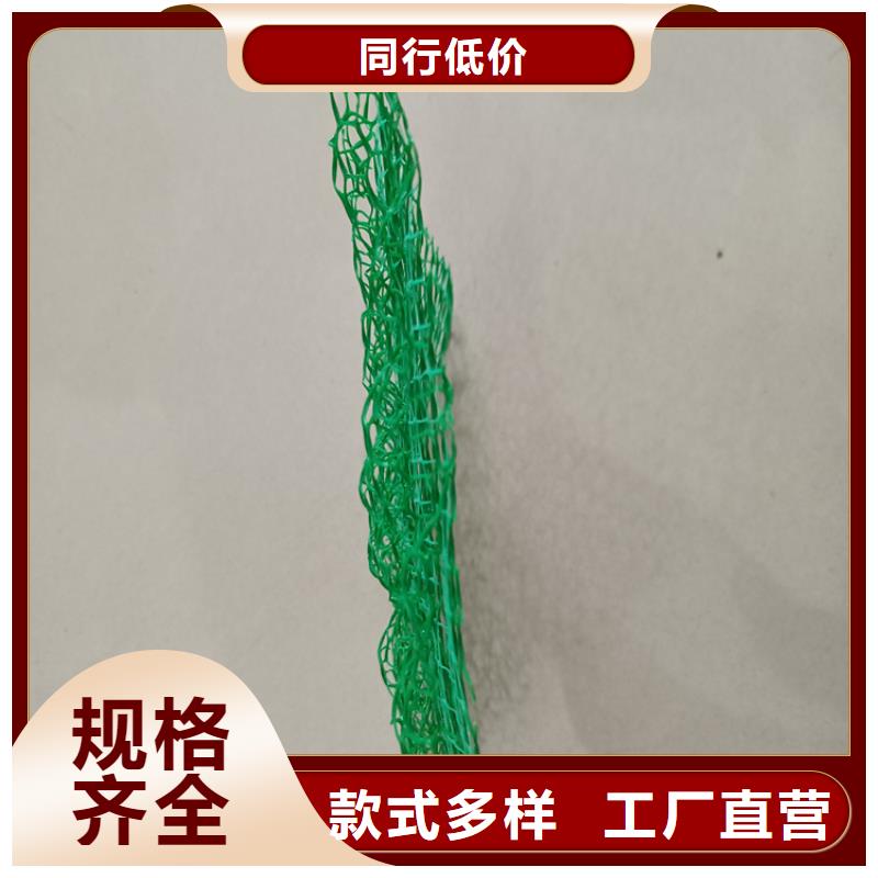 三维植被网防渗膜批发商