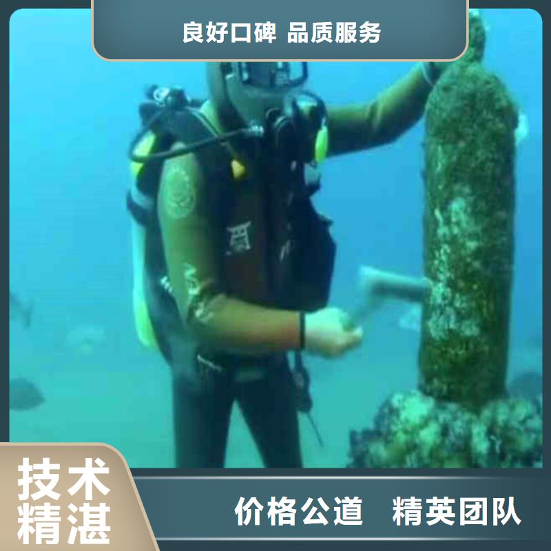 水下施工蛙人服务实时价格