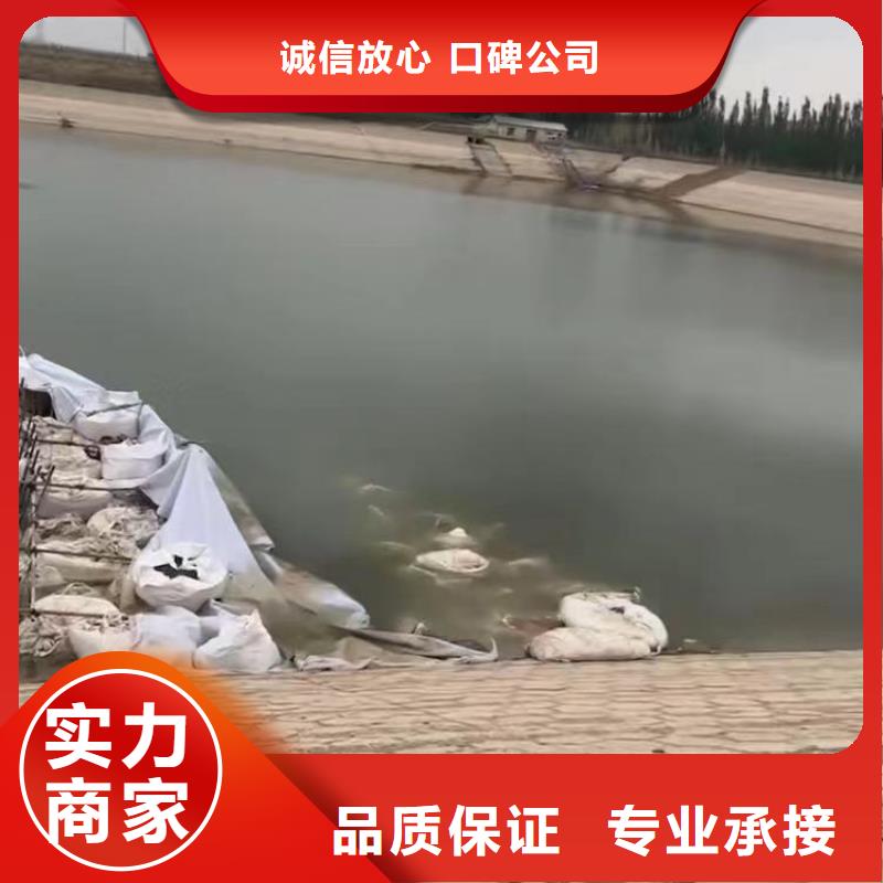 水下探摸,拍照,录像公司一经验丰富本地