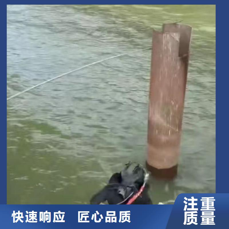 取水口水下安装来厂考察浪淘沙水工