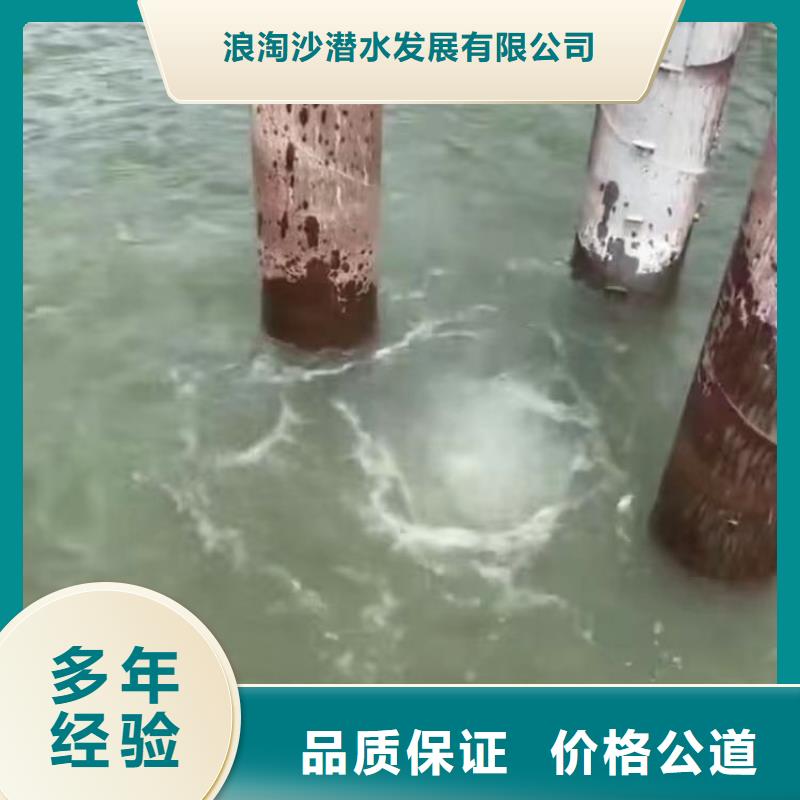 洪泽区水下封堵——十佳蛙人组浪淘沙水工