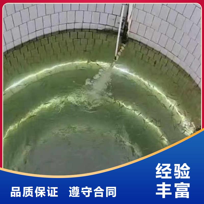 水下打捞手机项链等贵重物品一最新型号全一水下检测