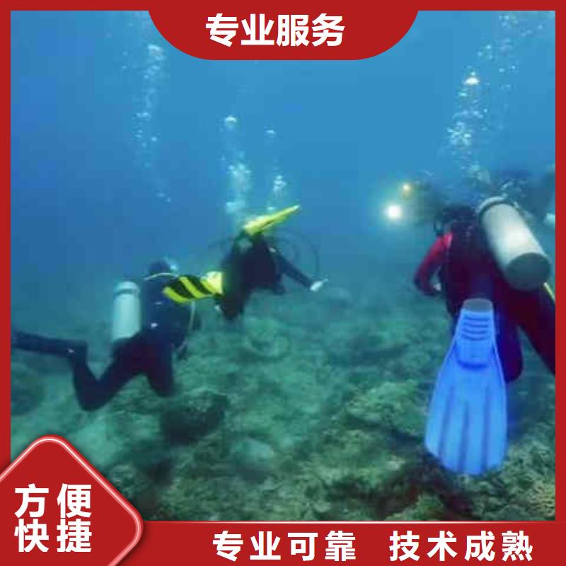 潜水员服务潜水团队高性价比