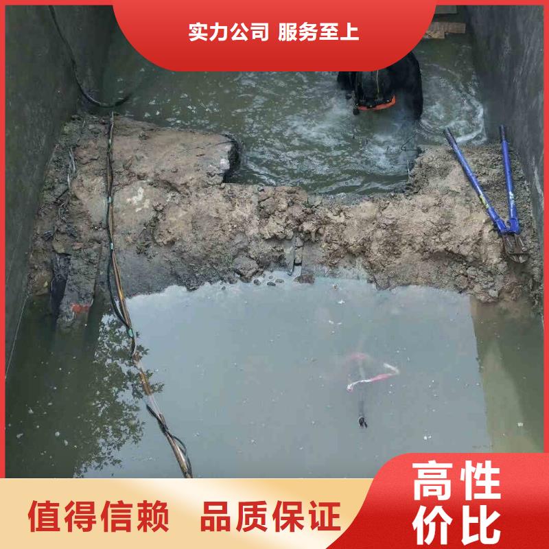 潜水员服务渗水补漏施工有实力