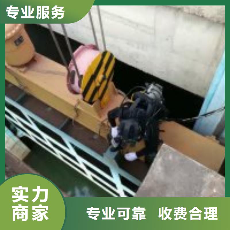 现货供应_蛙人水下检查价格品牌:东泓潜水工程公司