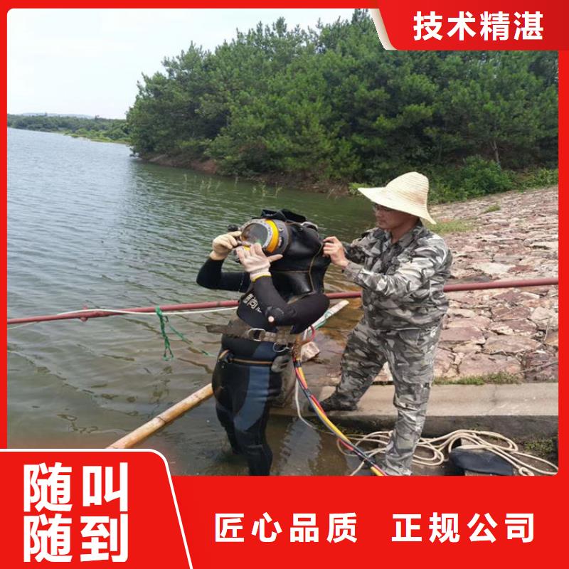 潜水员水下混凝土检测|潜水员水下混凝土检测-厂家批发