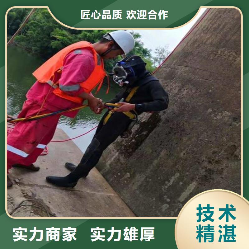 买承台桩基水下检测价格认准东泓潜水工程公司