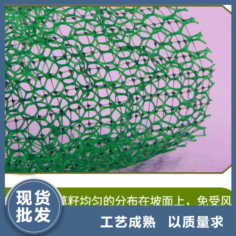 塑料三维植被网放心选