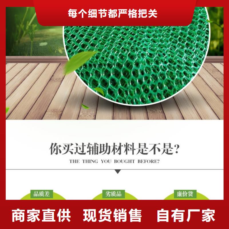 三维植被网铜片止水厂家多年行业经验