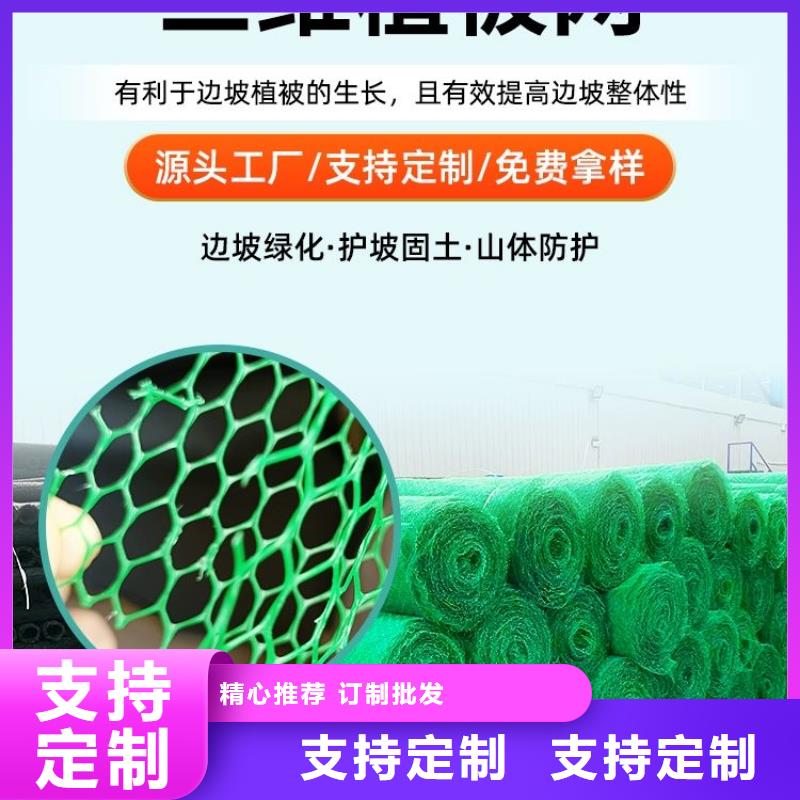 三维植被网【止水铜片】厂家十分靠谱