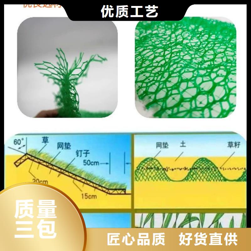 三维植被网渗水盲管用心制造