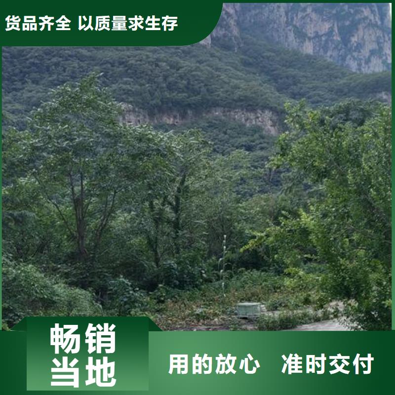 农村小型混凝土泵车价格