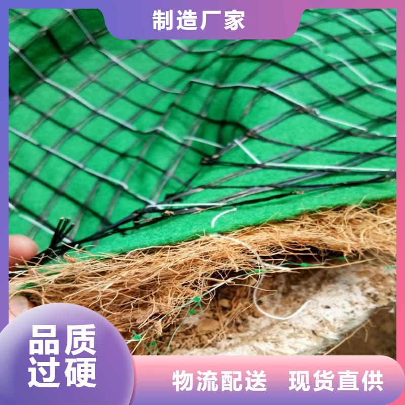 加筋抗冲生态毯护坡植被植草毯