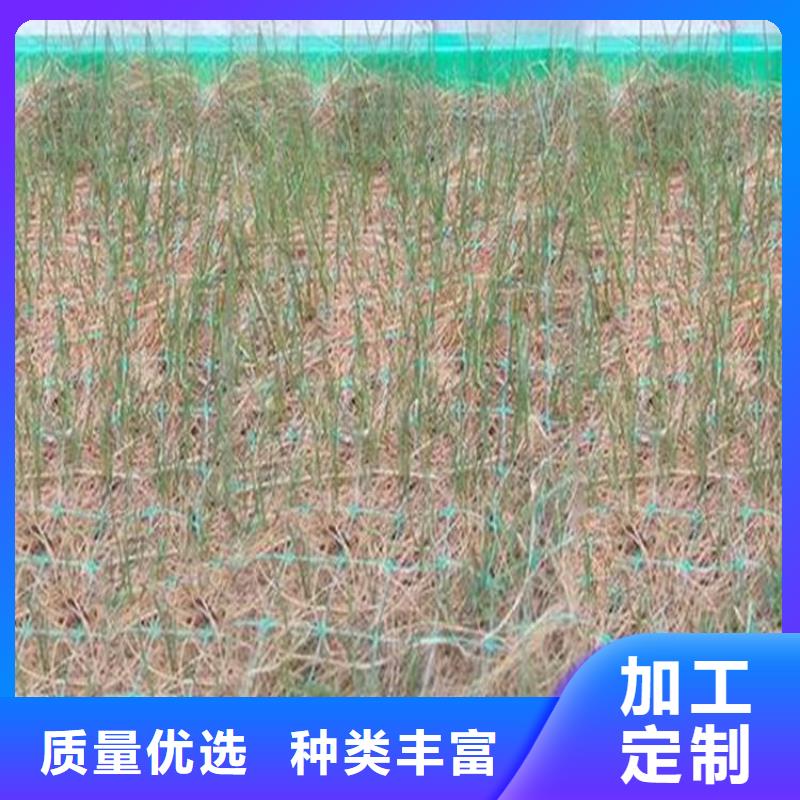 护坡植被植草毯供应代理