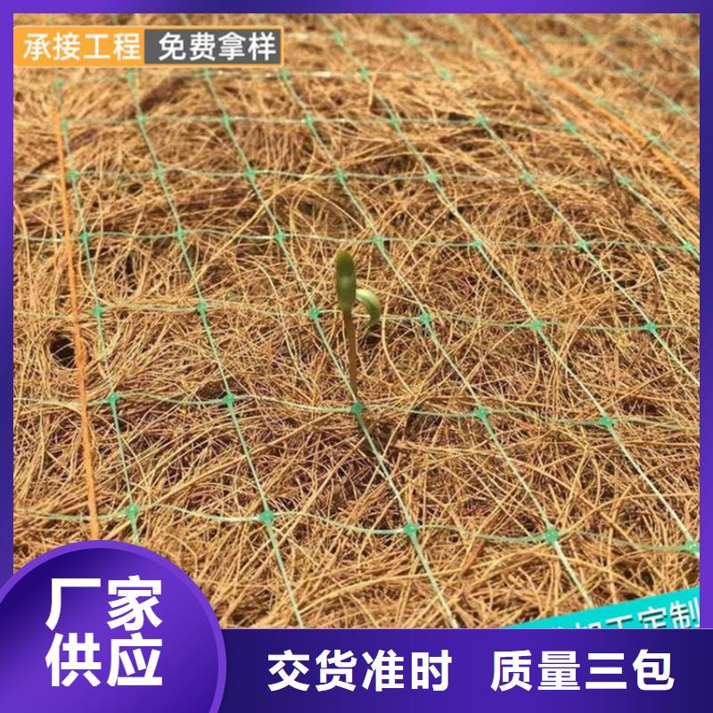 椰纤植生毯加筋抗冲生物毯当地代理