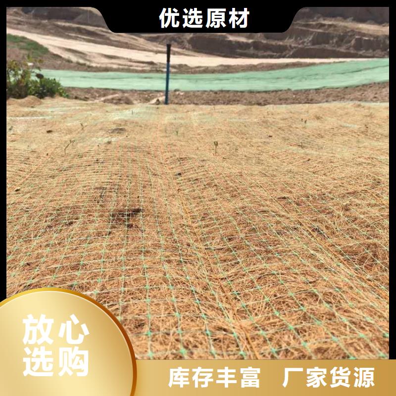 植生椰丝毯护坡植被植草毯公司/多少钱一平