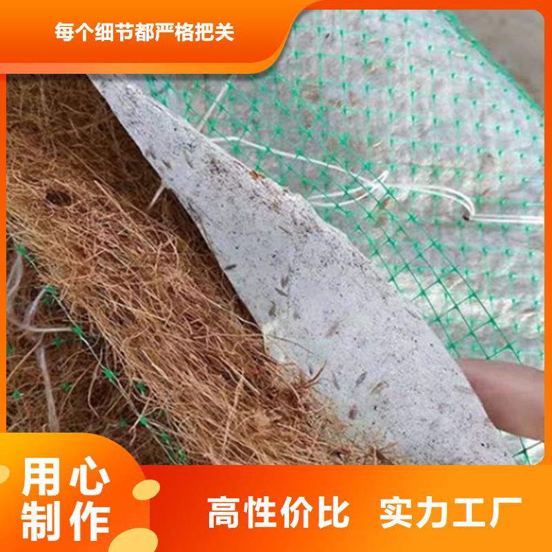 椰纤植生毯源头厂家