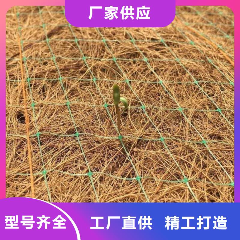 加筋抗冲生物毯加固-边坡防护