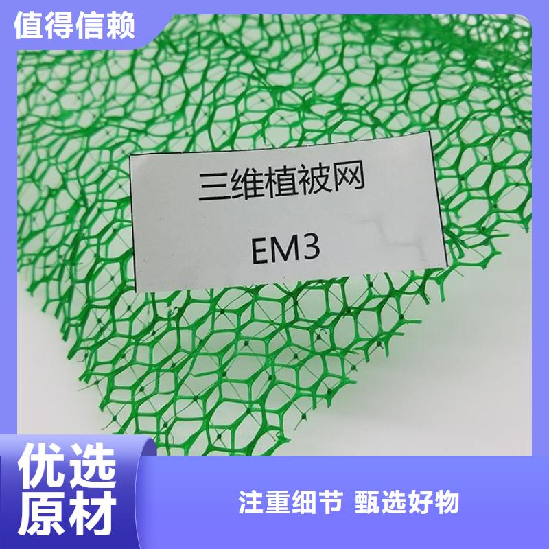 护坡植被植草网边坡EM5