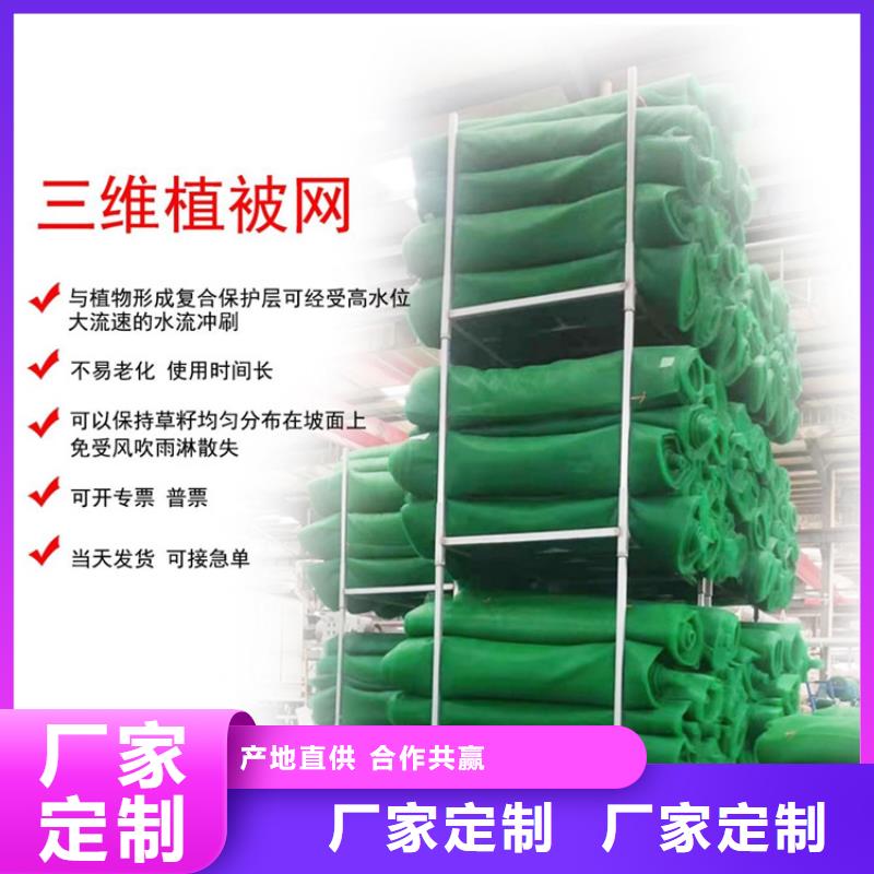 三维植被网_拉筋带用心做好每一件产品