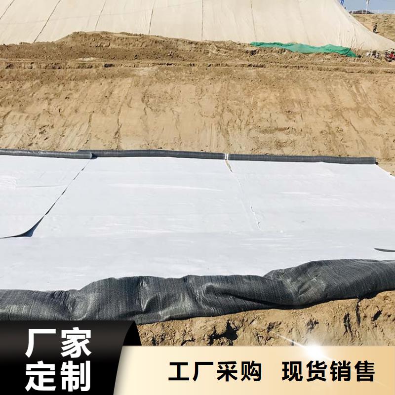 膨润土防水毯钢塑土工格栅检验发货