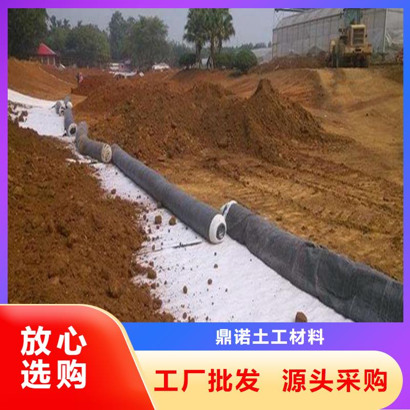 【膨润土防水毯】土工网垫优质工艺