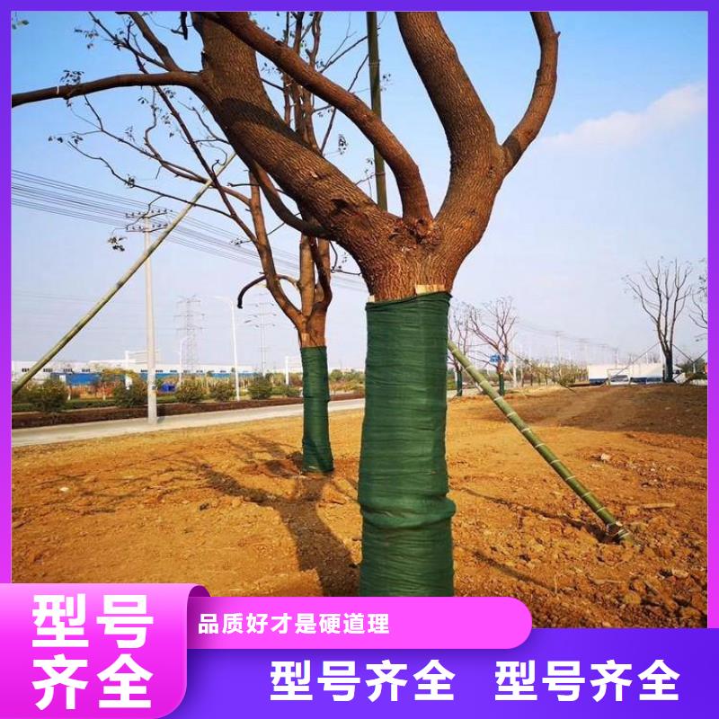 裹树布-双向土工格栅真诚合作