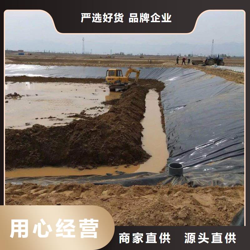 防渗膜-公路聚乙烯防渗土工膜公司-厂家代理