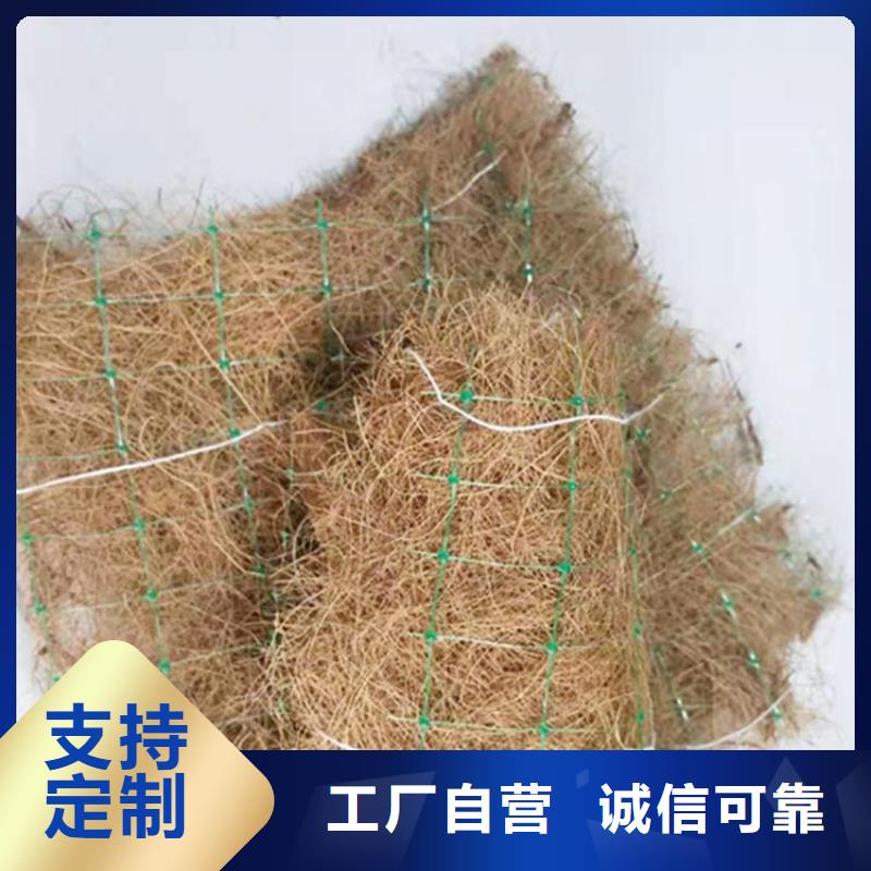 椰纤植生毯多少钱一平方