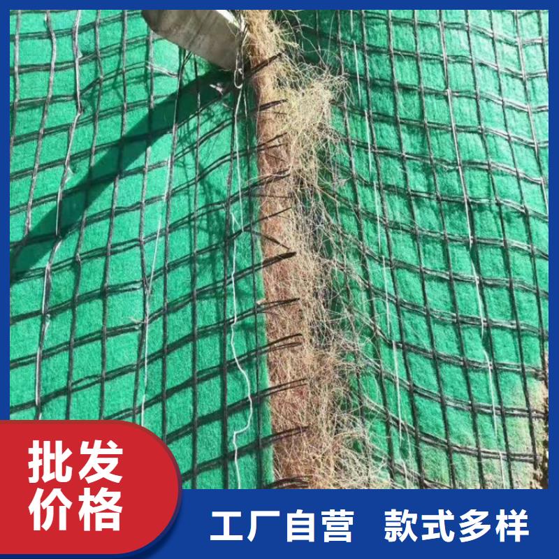 陵水县加筋抗冲生态毯