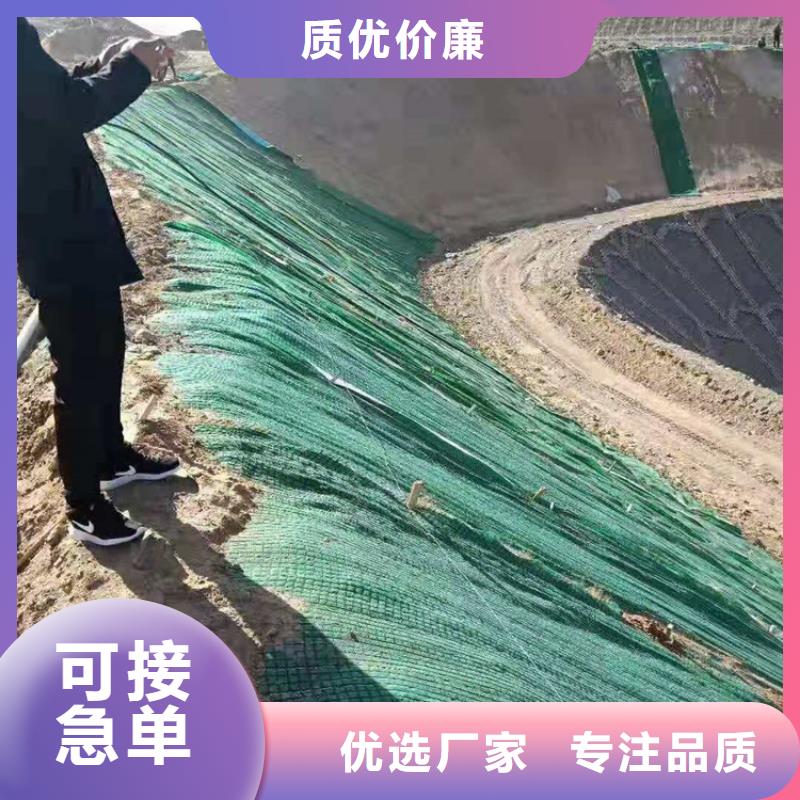 植物生态防护毯市场批发/多少钱一平