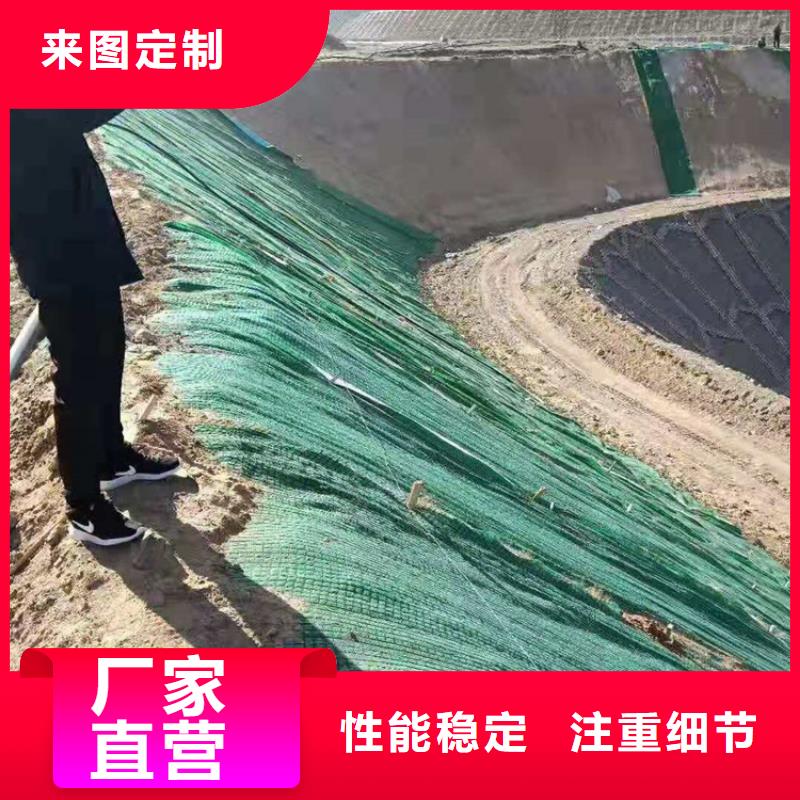 椰丝毯三维植被网优良材质