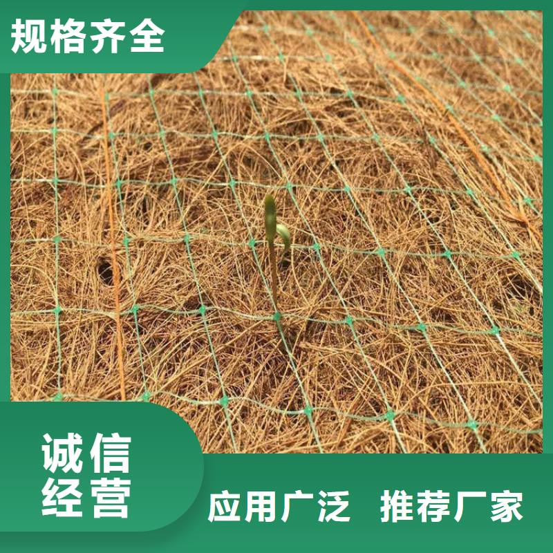 植物生态防护毯-加筋抗冲生态毯