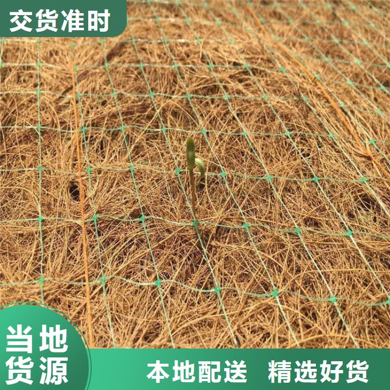 加筋抗冲生态毯草种抗冲生物毯