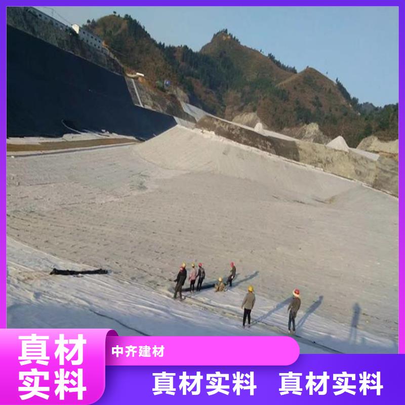 膨润土防水毯双向塑料土工格栅诚信为本