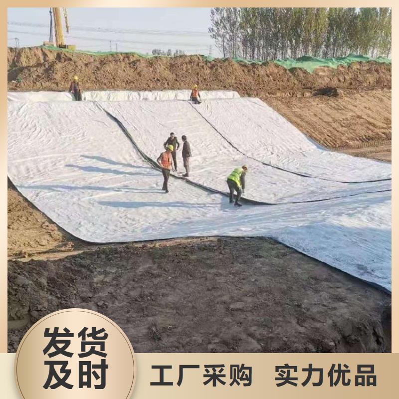 膨润土防水毯_土工膜实力才是硬道理