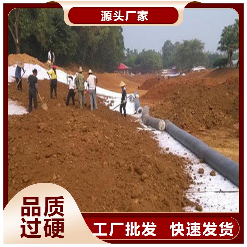 【膨润土防水毯】玻璃纤维土工格栅把实惠留给您