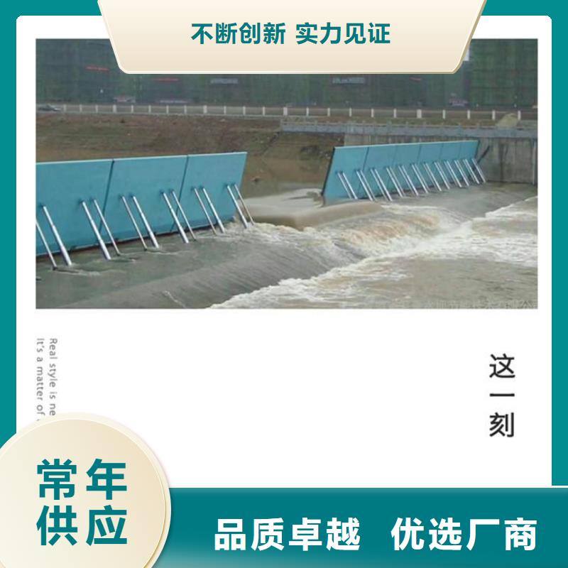 销售渠道止水闸门的厂家