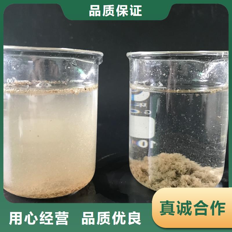 污水处理微生物菌种