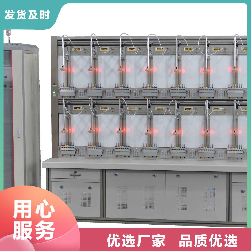 反窃电用电稽查仪支持定制