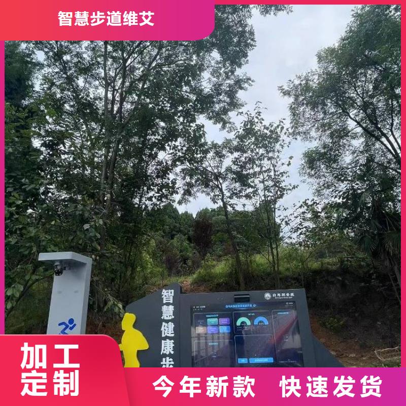 智慧AI竞速多人跑道价格公道合理